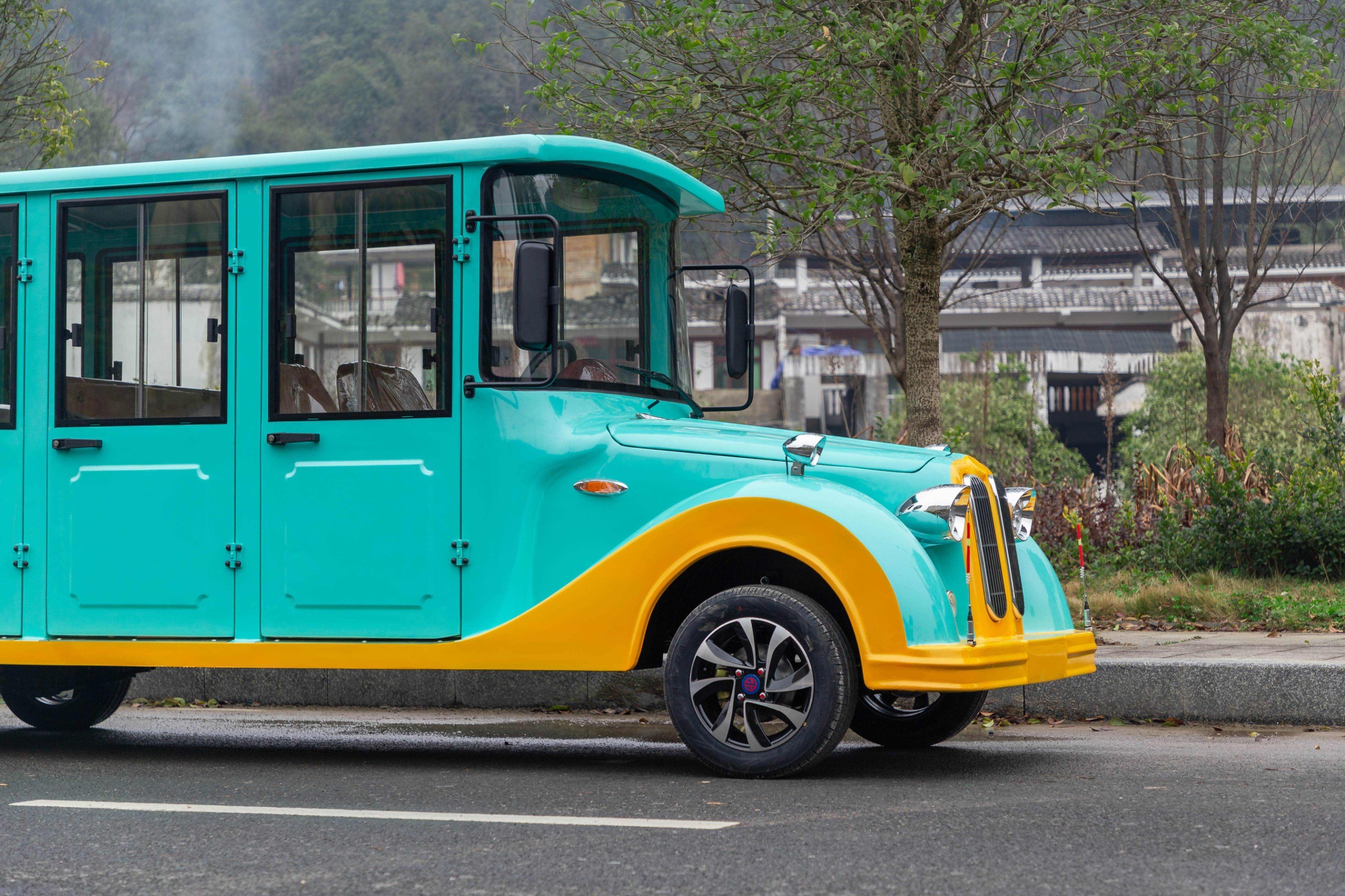 忠輝觀光車 忠輝觀光車