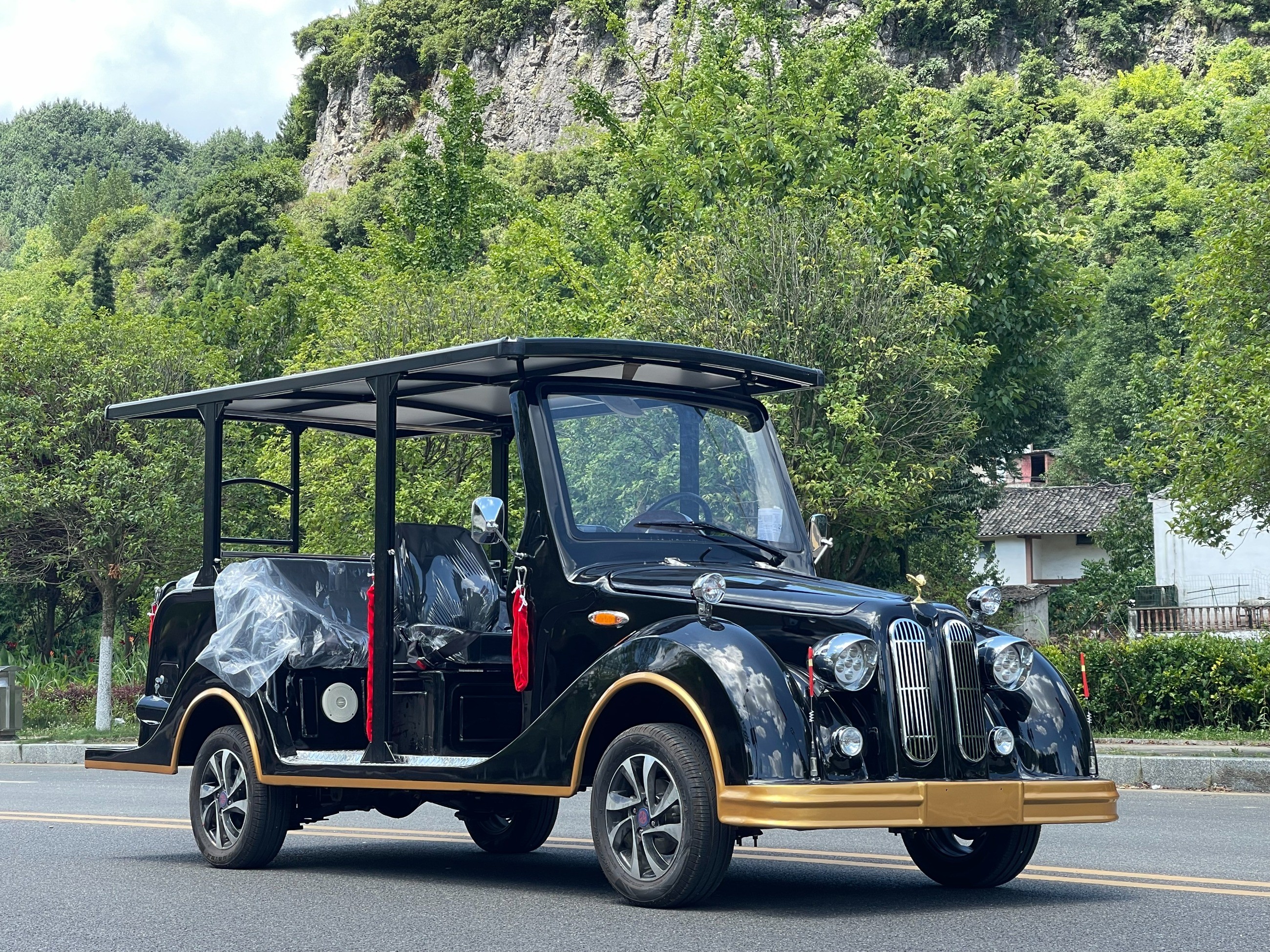 忠輝觀光車 忠輝觀光車