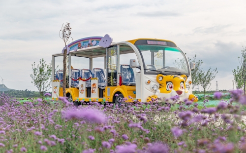 電動觀光車大概多少錢一臺？要怎么樣選擇？